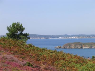 Cliquez pour voir l'image en taille réelle